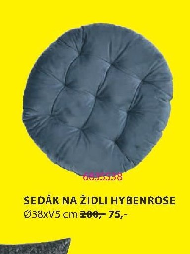 SEDÁK NA ŽIDLI HYBENROSE