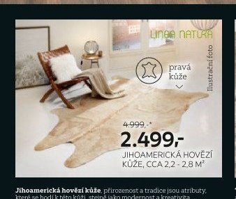 Jihoamerická hovězí kůže