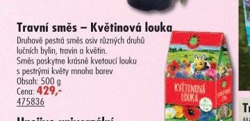 Travní směs – Květinová louka