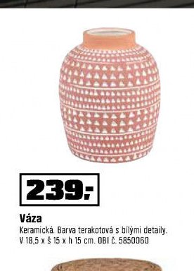 Váza