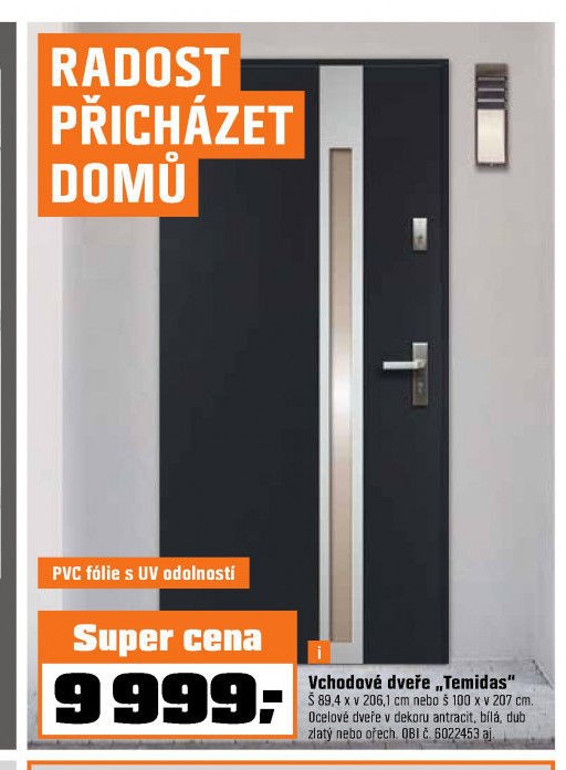 Vchodové dveře Temidas