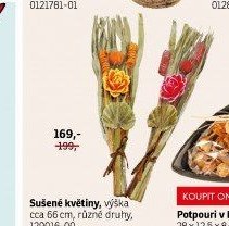 Sušené květiny