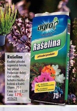 Rašelina