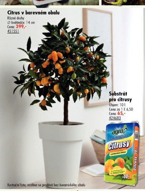 Citrus v barevném obalu