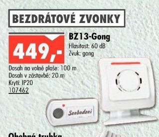 BZ13-Gong
