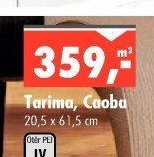 Tarima, Caoba