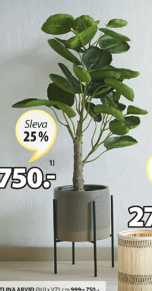 UMĚLÁ ROSTLINA ARVID