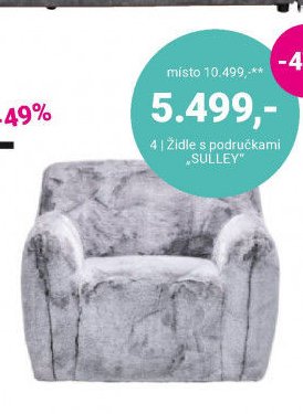 Židle s područkami SULLEY
