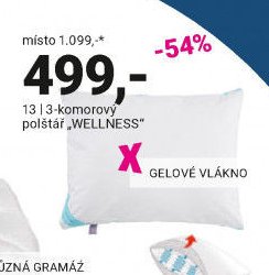 3-komorový polštář „WELLNESS“