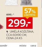 4 UMĚLÁ KOŽEŠINA