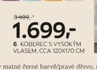 6 KOBEREC S VYSOKÝM VLASEM