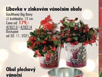 Libavka v zinkovém vánočním obalu