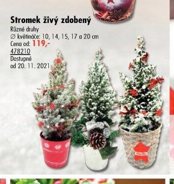 Stromek živý zdobený