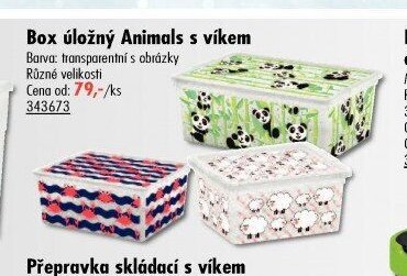 Box úložný Animals s víkem