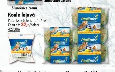 Koule lojová