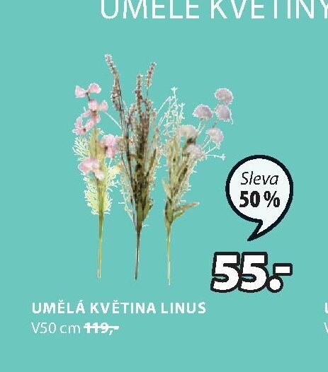 UMĚLÁ KVĚTINA LINUS