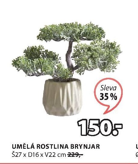 UMĚLÁ ROSTLINA BRYNJAR