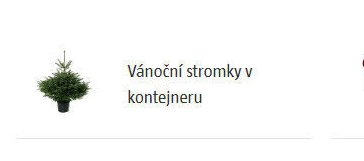 Vánoční stromky v kontejneru