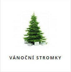 VÁNOČNÍ STROMKY