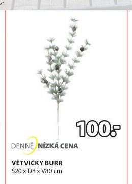 VĚTVIČKY BURR