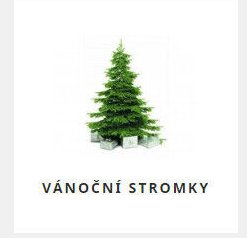 VÁNOČNÍ STROMKY