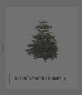 Řezaný vánoční stromek