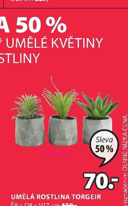 UMĚLÁ ROSTLINA TORGEIR