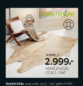 Hovězí kůže