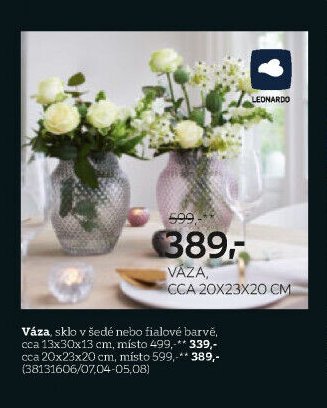 Váza