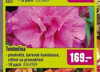 Tumbelina