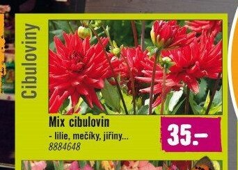 Mix cibulovin