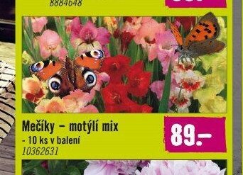 Mečíky - motýlí mix