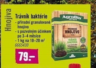 Trávníková bakterie
