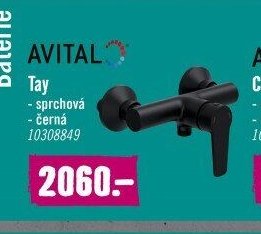 Avital Tay