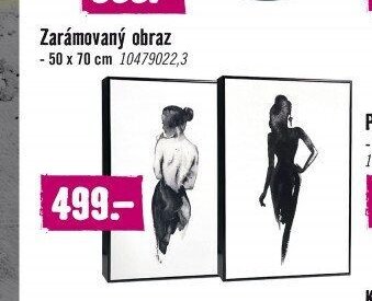 Zarámovaný obraz