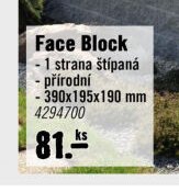 Face Block