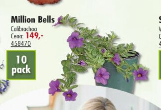 Million Bells