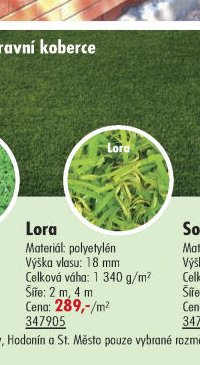 Lora