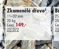 Zkamenělé dřevo