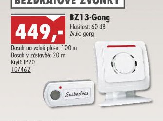 BZ13-Gong