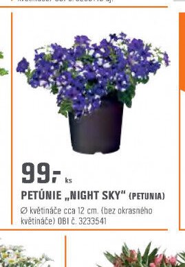 PETÚNIE „NIGHT SKY“ (PETUNIA)