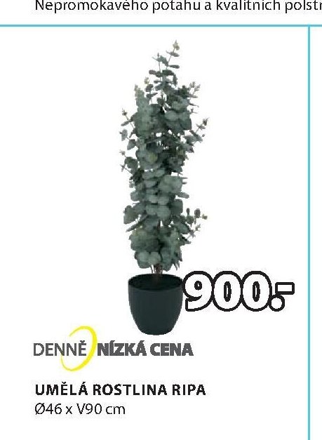 UMĚLÁ ROSTLINA RIPA