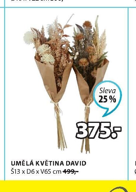 UMĚLÁ KVĚTINA DAVID