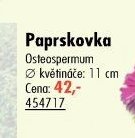 Paprskovka