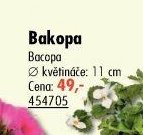 Bakopa