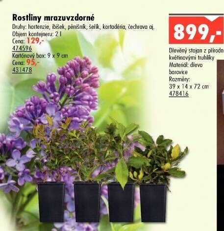 Rostliny mrazuvzdorné