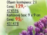 Kartónový box