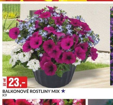 BALKONOVÉ ROSTLINY MIX