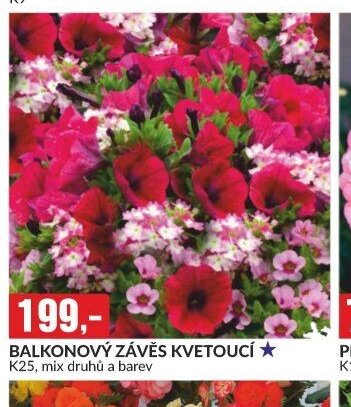 BALKONOVÝ ZÁVĚS KVETOUCÍ