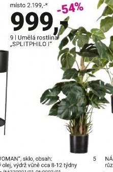 Umělá rostlina „SPLITPHILO I“